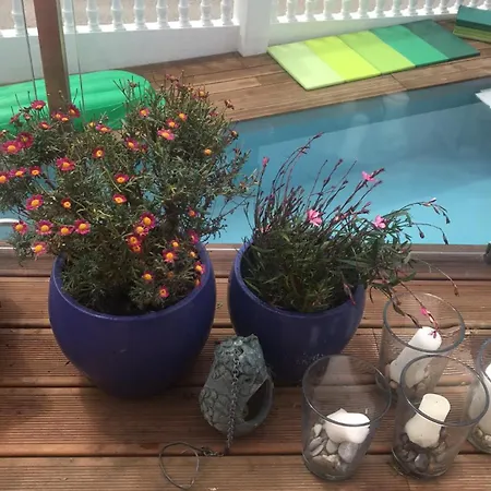 Mappamundo Рибамар